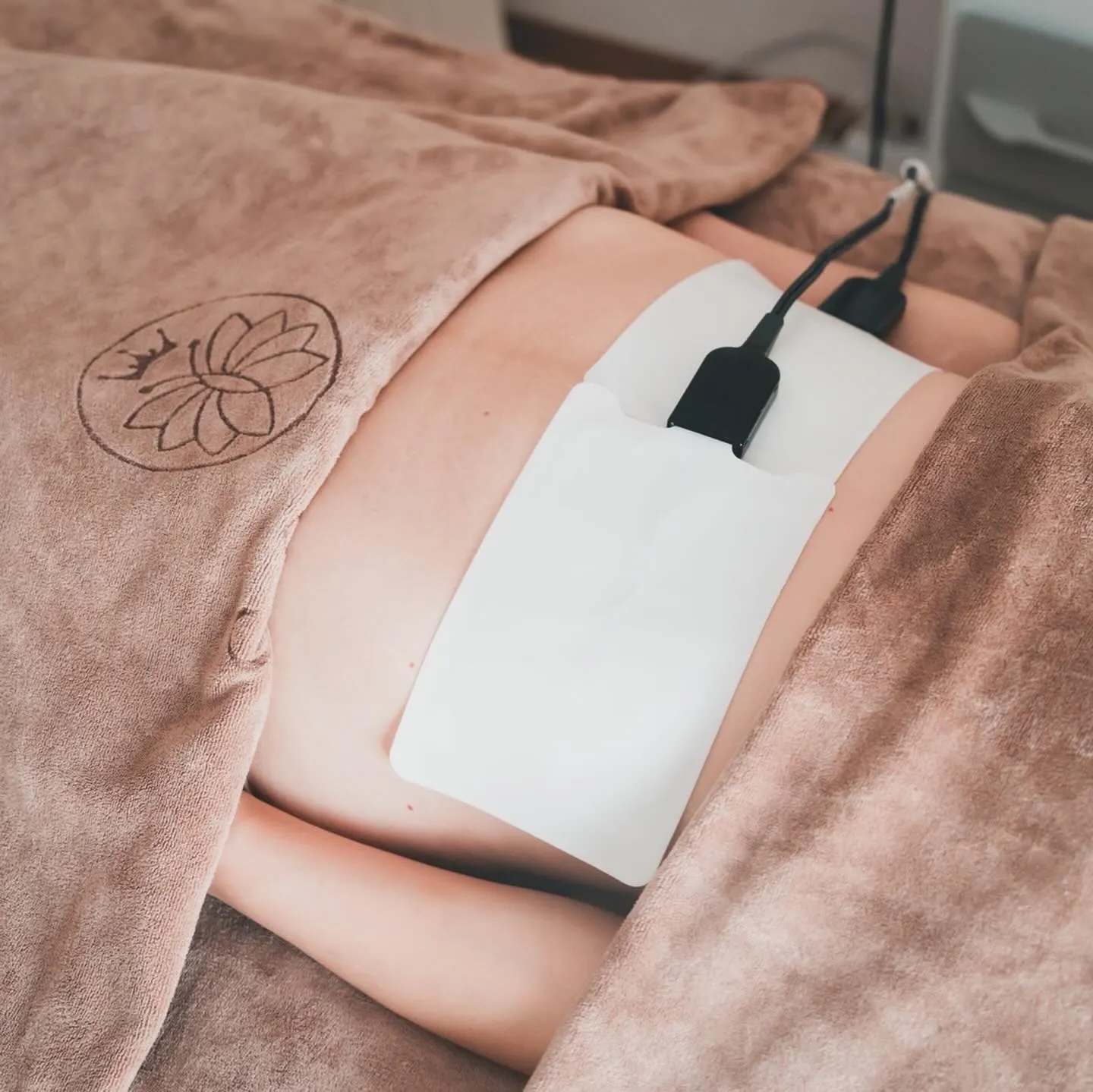 内臓機能UP⭐️内側からキレイを目指す！