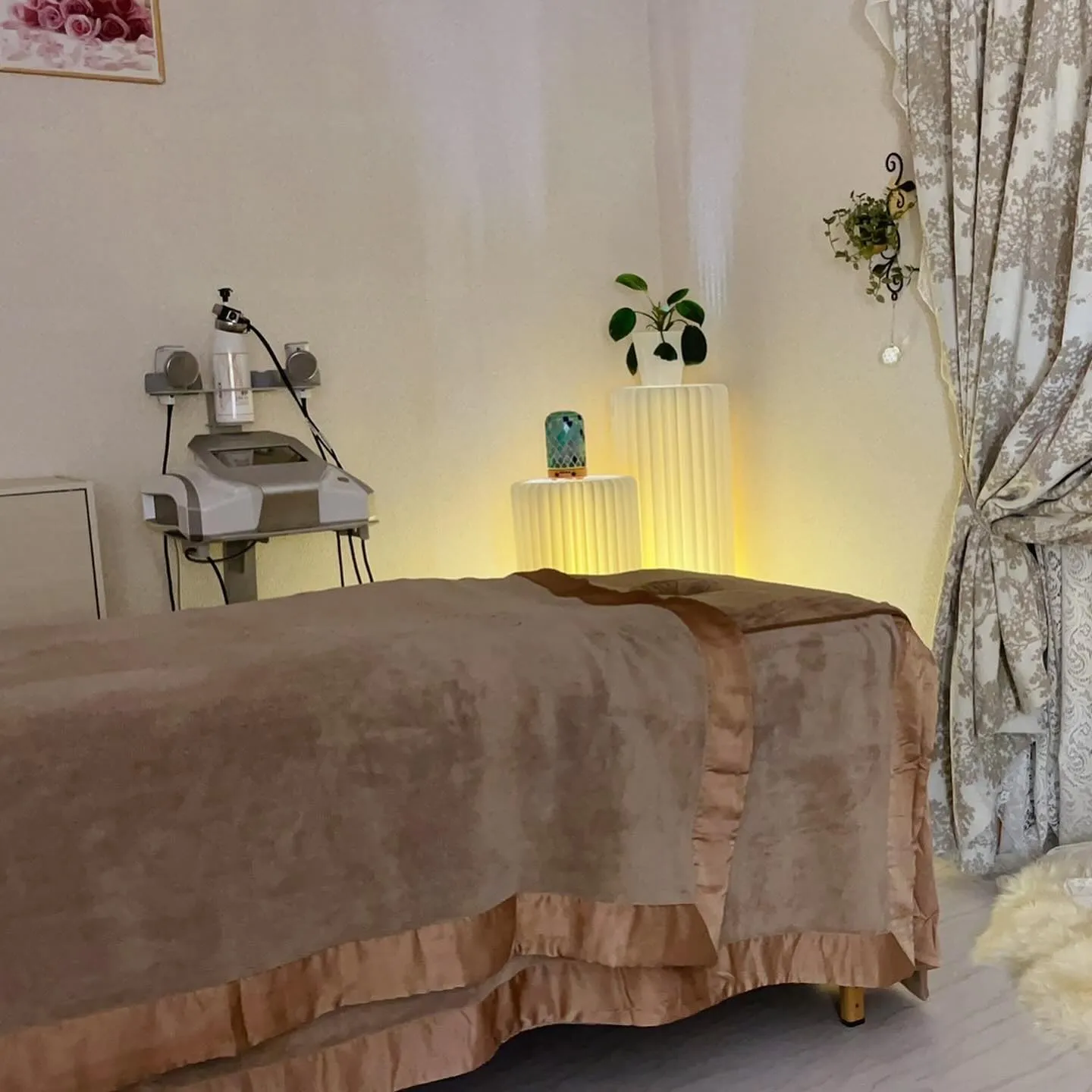 内臓機能UP⭐️内側からキレイを目指す！