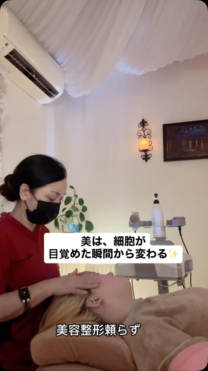 【内臓x細胞=美しさと命の源】